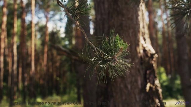 Музыка, которая звучит так, будто она написана специально для вас двоих! - Marrakesch -- Phillip Gro