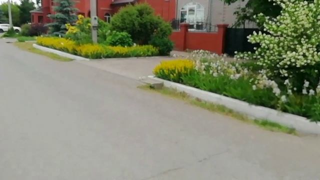 Если небо паникует