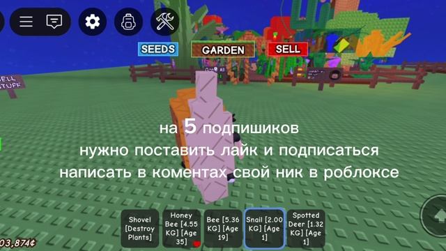 розыгрыш на улицу в гров а гарде