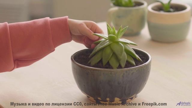 Самое романтичное сочетание звуков и образов в истории! - Aspire -- Scott Holmes Music -- Corporate