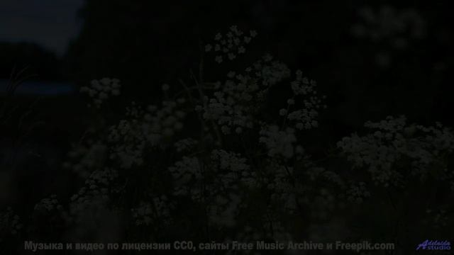Музыка качает внутри, как буря качает облака - Undone -- Bus Window -- Flying High
