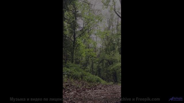 Музыка рисует на небе больше, чем краски - Mushrooms -- Ketsa -- The Calling