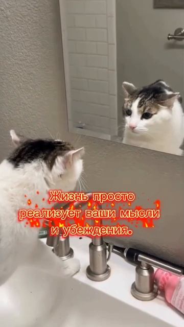 Неудобная правда жизни #творец #силасознания #правдажизни