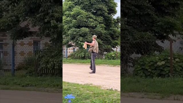 голливудские тигры 🐯