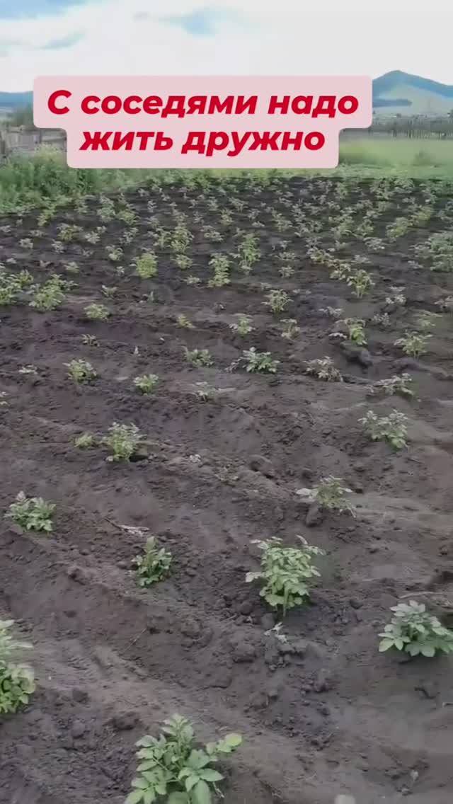 Сосед поговорки с женой.