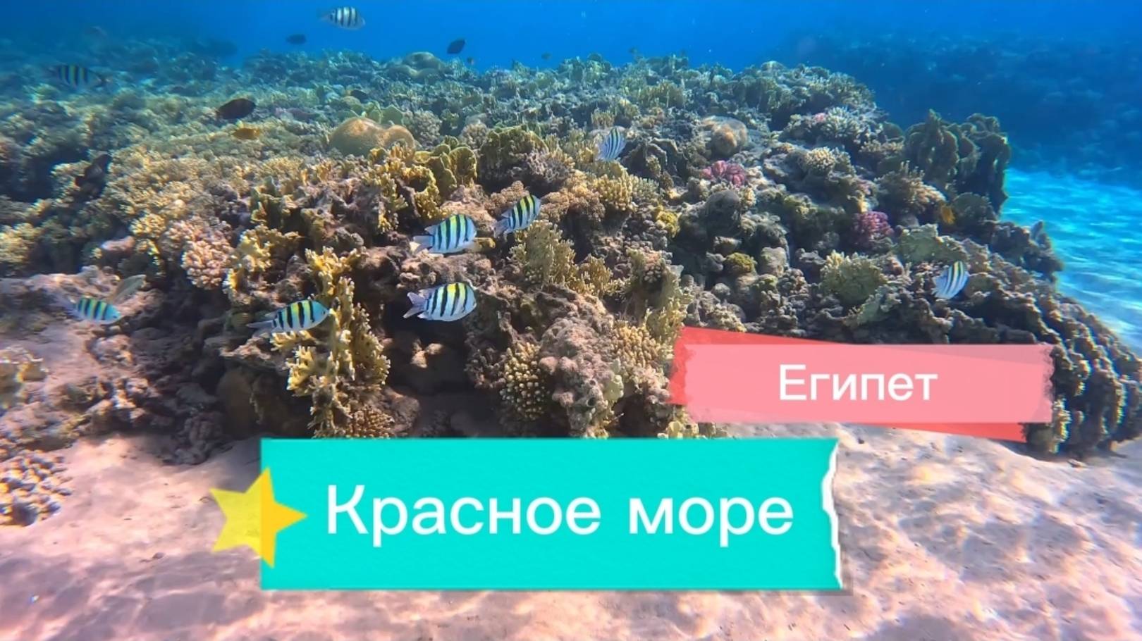 Египет, Красное море