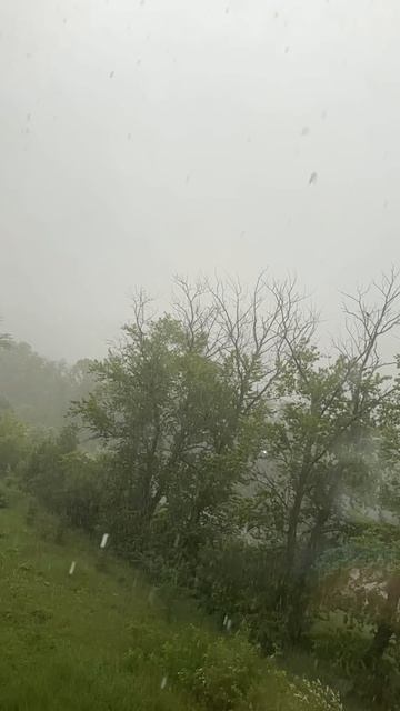Rain