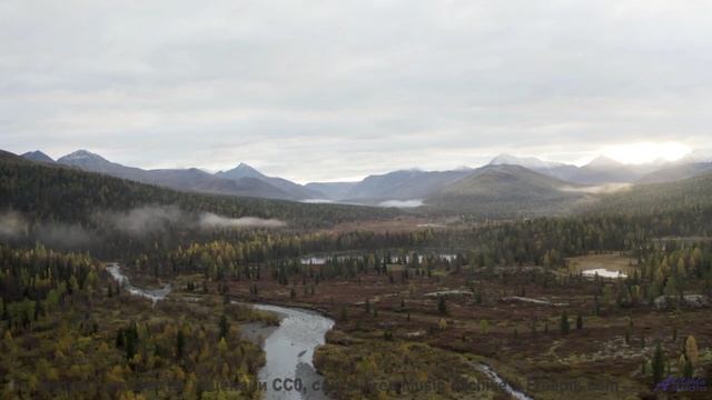 Видео, которое заставит вашего тестя расплакаться! - Run Wild -- Jeremy Allingham -- Run Wild