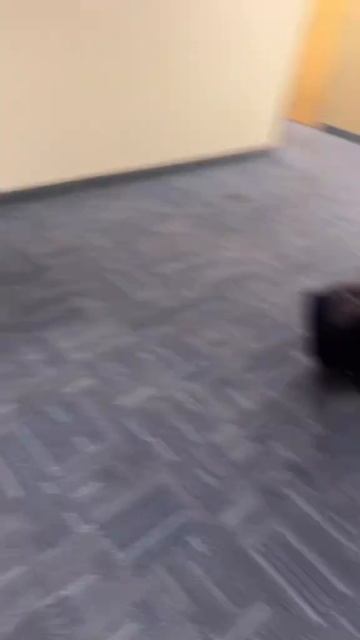 1000002048.mp4