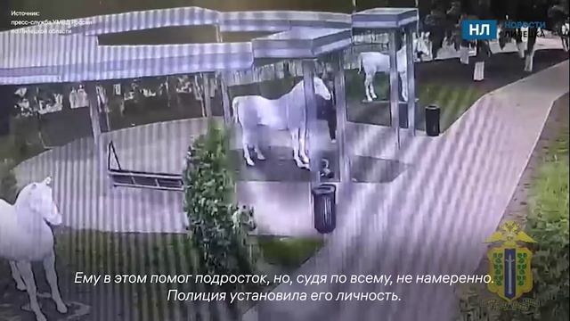 УМВД опубликовало видео момента,