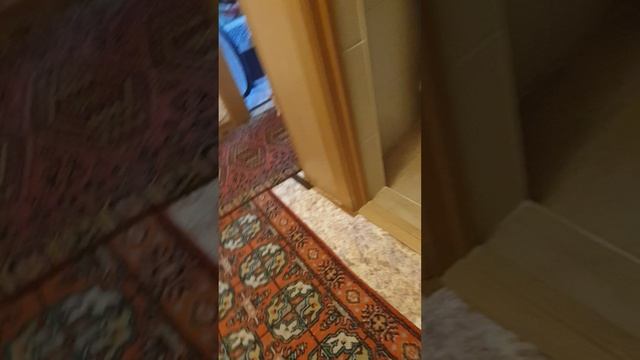 Рома в более безопасном доме, 13:35, 18.06.2025