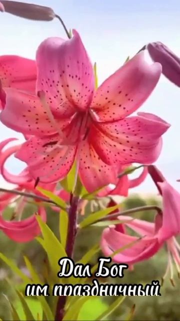 VID_20250618_214203_491.mp4