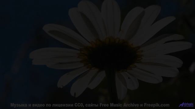 Пейзажи взрываются эмоциями вместе с этим треком - generation to generation -- Tinmouth -- Surprise