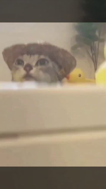 прикольно