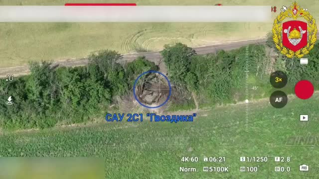 Операторы БпЛа 30 отдельной роты спецназа группировки "Восток" уничтожили САУ 2С1 "Гвоздика" прот...
