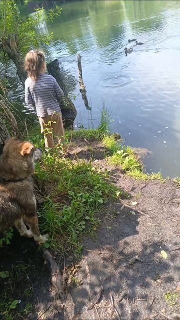 обед