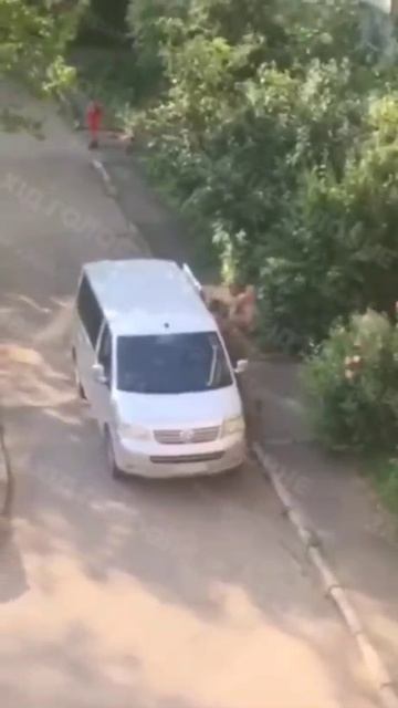 Украинские могильщики поймали очередного "добровольца" и отправят его в скором времени на смерть !!!