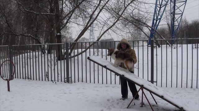 Лета 28.01.2020 2пл