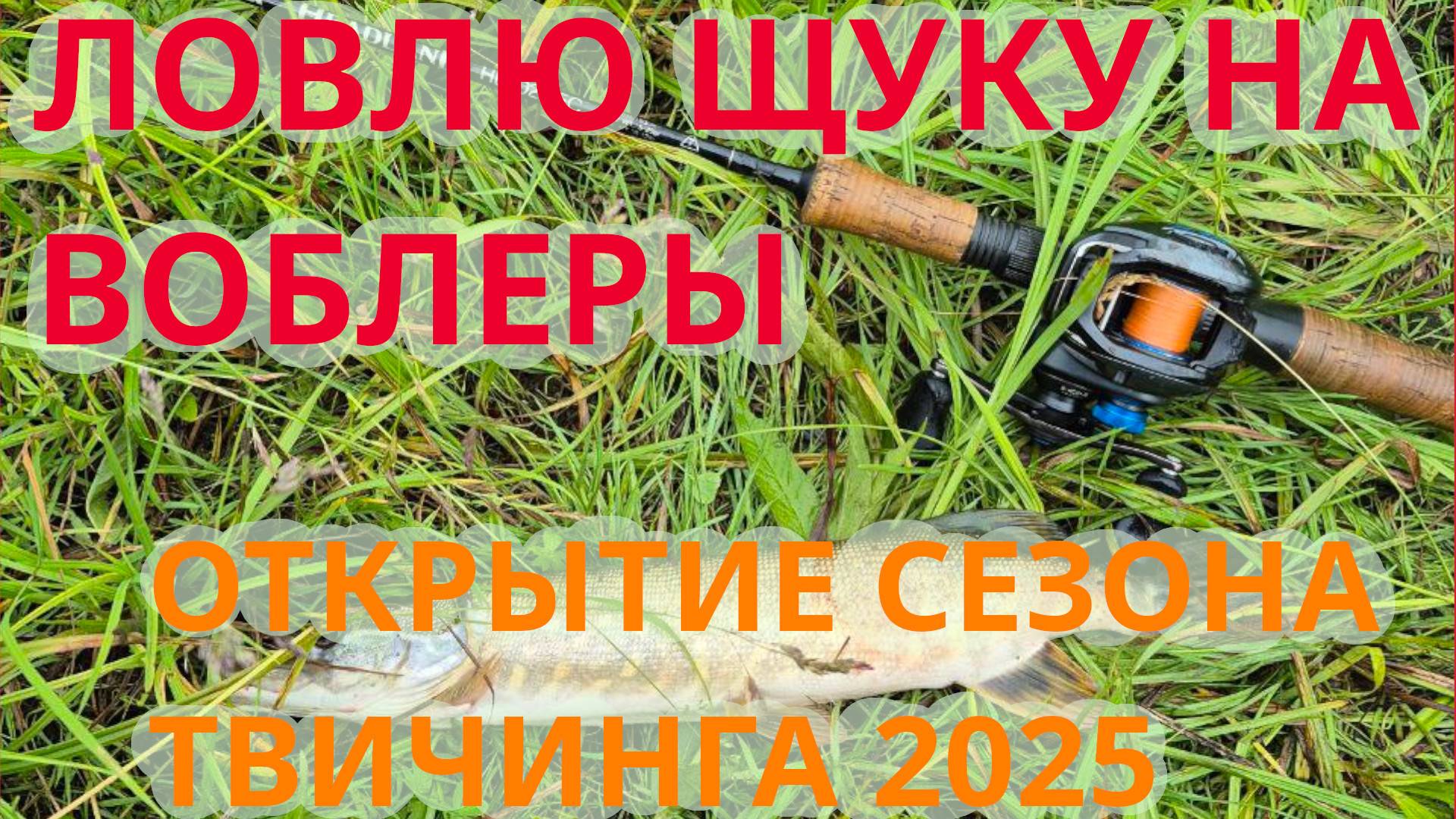 Отлично половил щуку на воблеры Bearking. Твичинг крупных воблеров минноу с кастинговой снастью.