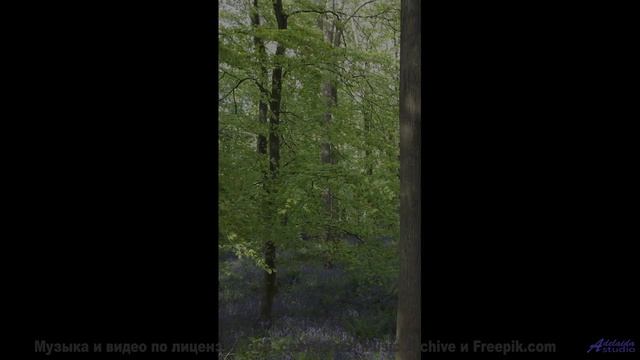 Звуки природы + идеальная музыка = ваш побег от реальности! - Rise up, none ov your Bones are broken