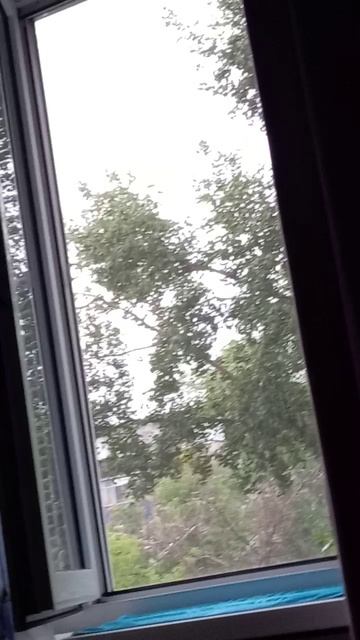 ЛЕТНИЙ ДОЖДЬ!!!