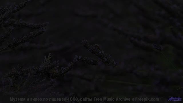 Ноты вливаются в пейзажи, создавая полную гармонию - Hysterical -- Small Tall Order -- Easily