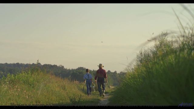 Скорость, ветер и ритм! - 4-les corbeaux de westminster -- Bonne Humeur Provisoire -- Merak