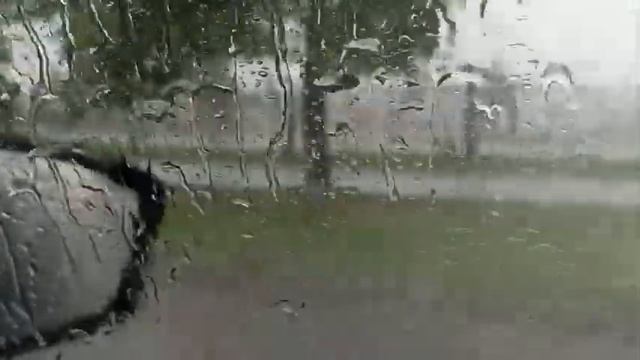 Сегодня в Троицке!