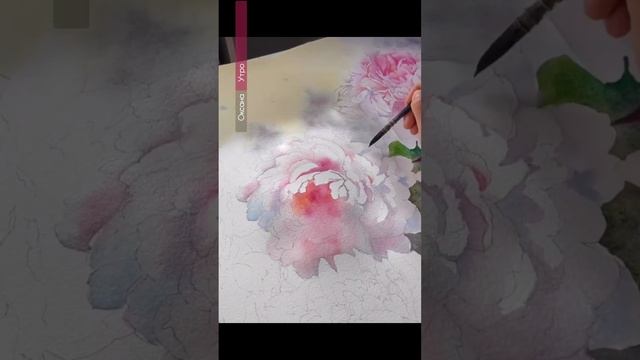 Рисуем пионы