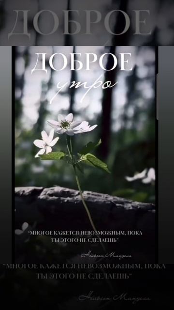 Доброе утро #доброеутро #благодарность