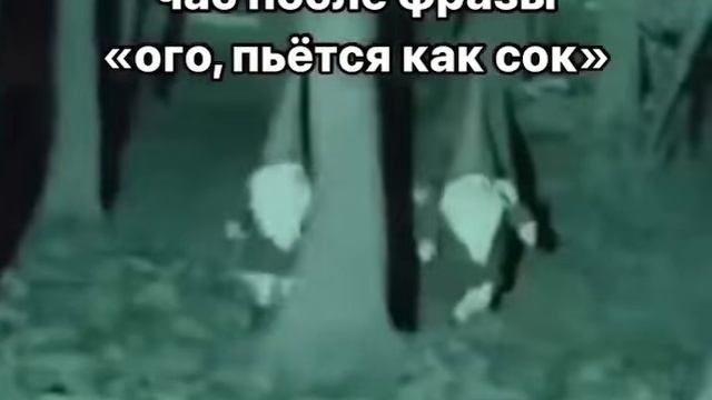 Жиза 15