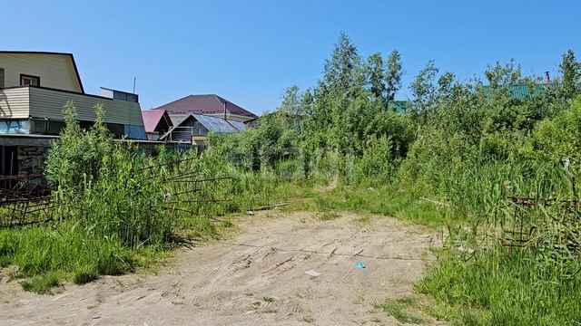 2054542 Полимер