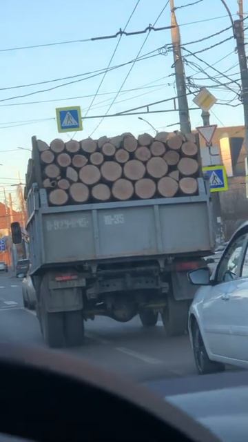 24 декабря 2024 г.