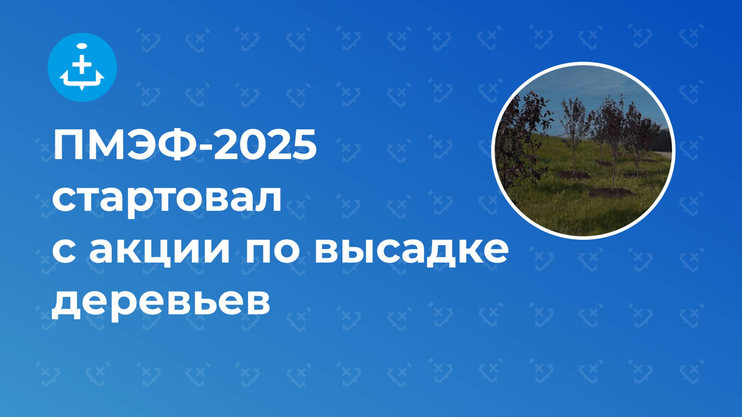ПМЭФ-2025 стартовал с акции по высадке деревьев