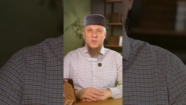 МИЛОСЕРДИЕ КОТОРОЕ МОГЛО БЫ СПАСТИ ЕЕ #апмрф #ислам #религия