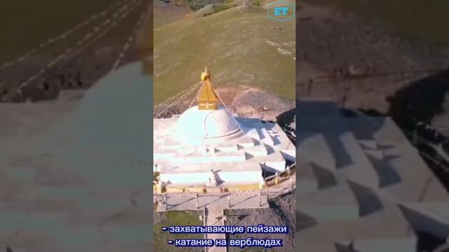 1000125784.mp4