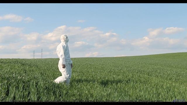 Музыка наполняет лёгкие, пока камера ведёт за горизонт - The Great Spiral Dance -- Siddhartha -- Nig
