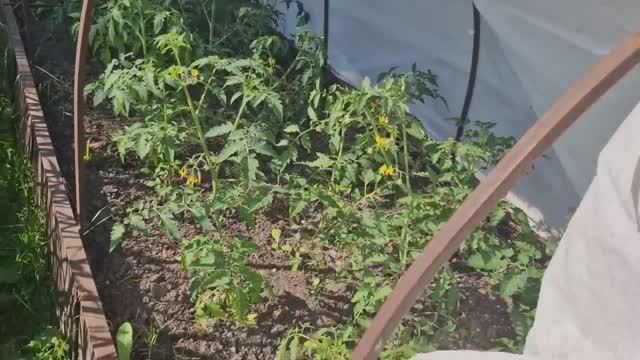 Обустраиваем зону отдыха. Наводим уют. Вот это помощь.
