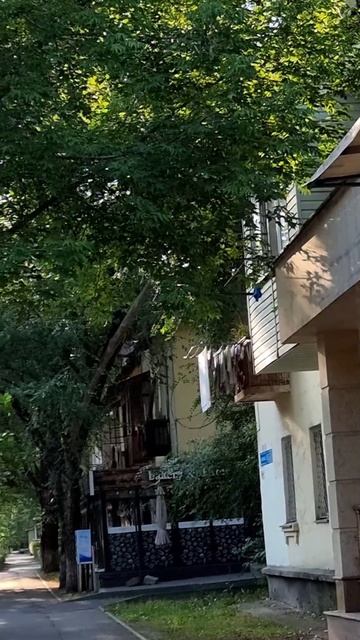 Утро на Жамбыла в Алматы. 18.06.2025