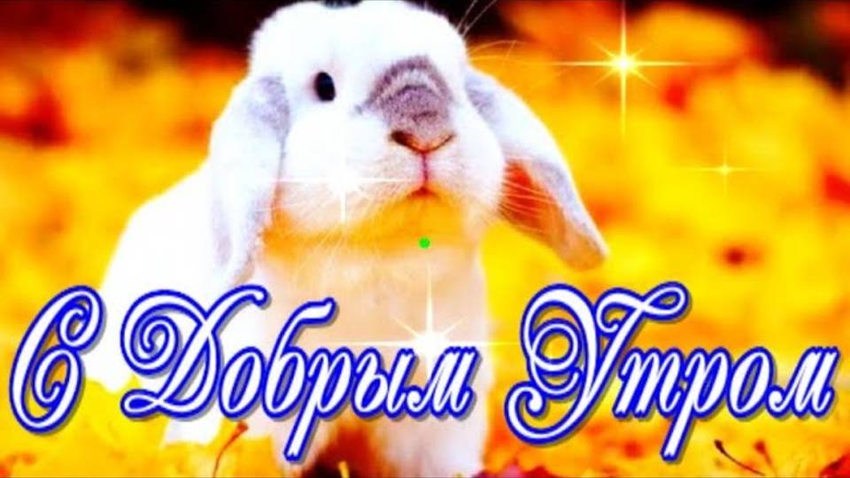 С Добрым Утром!  Ощути мой бодрящий привет, настройся на радостную волну под веселую музыку!