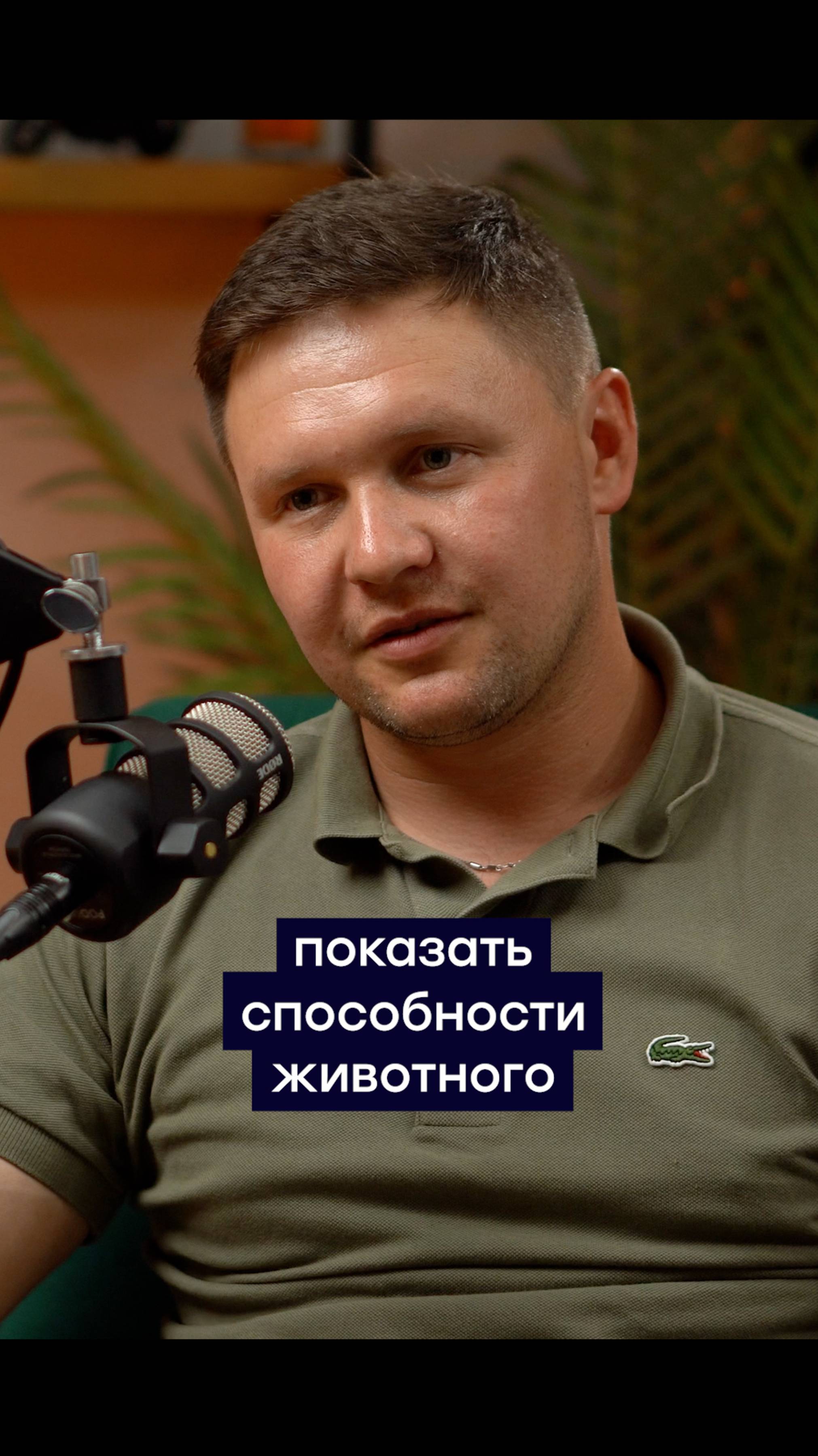 Секреты дрессировки тигров от Ярослава Запашного | Как работают с хищниками в цирке