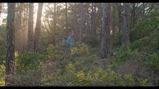 Музыка для квантовых компьютеров - услышьте будущее вычислений! - Youre Magic -- Soft and Furious --