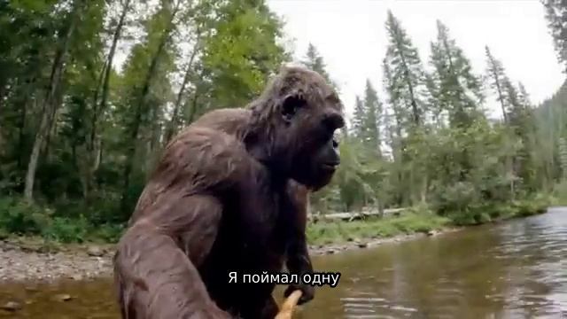 Один день из жизни Бигфут