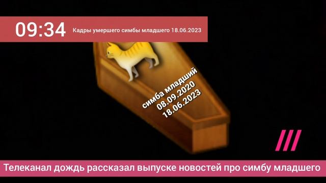 2 года смерти симбы младшего