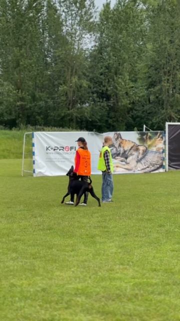 video_2025-06-18_00-27-07