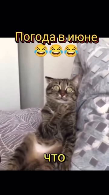 Погода в Июне🤣