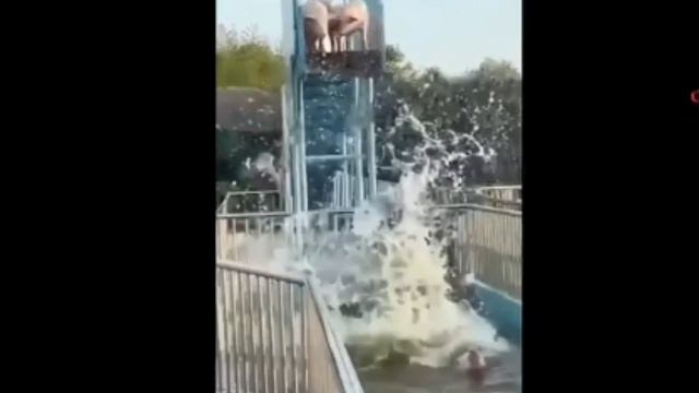 смешные коты 3 серия