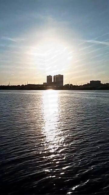 Sun Is Shining through Window Blinds #nature #shorts #river #cityscape #sound #sunset #asmr