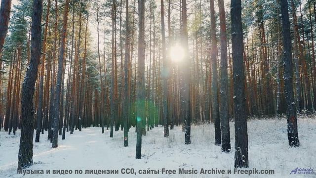 Этот клип - сочетание красоты и звучания - Pajaros (XLIX) -- opo -- Estudios Indigeniformes