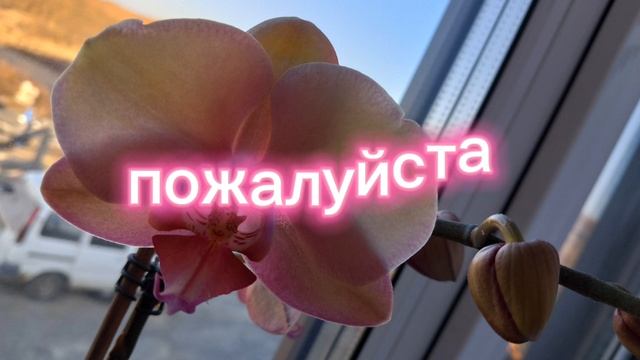 1000035060.mp4
